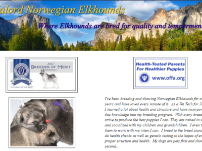 Valord Norwegian Elkhounds